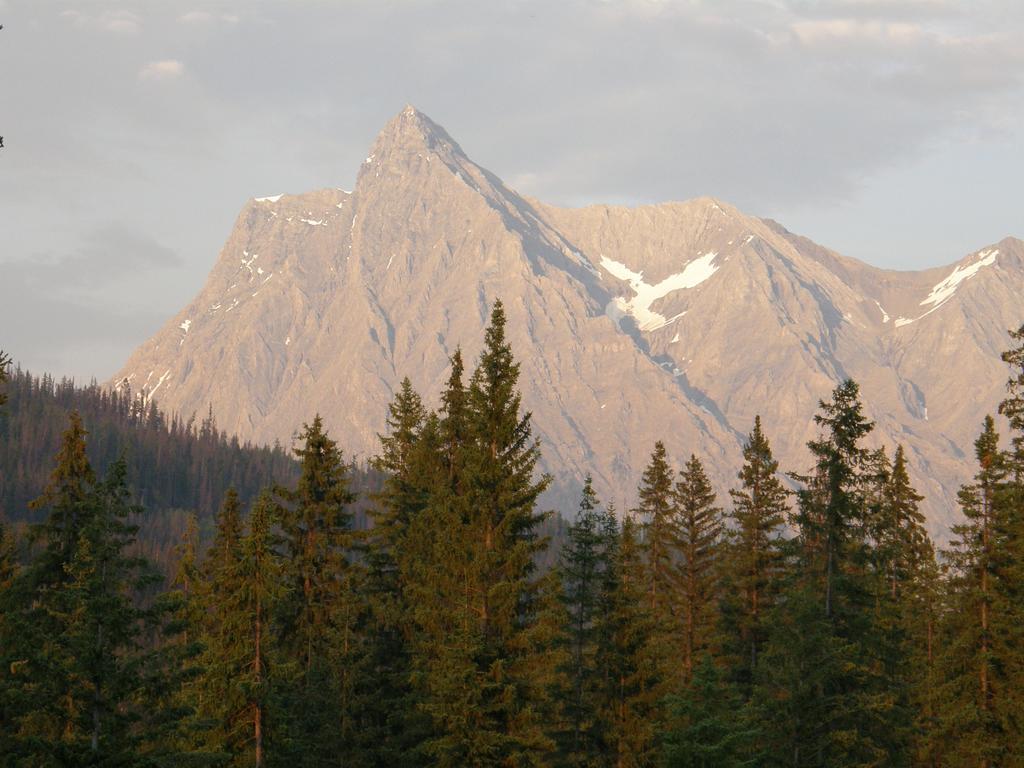 Yoho Chalets Villa Golden Eksteriør billede